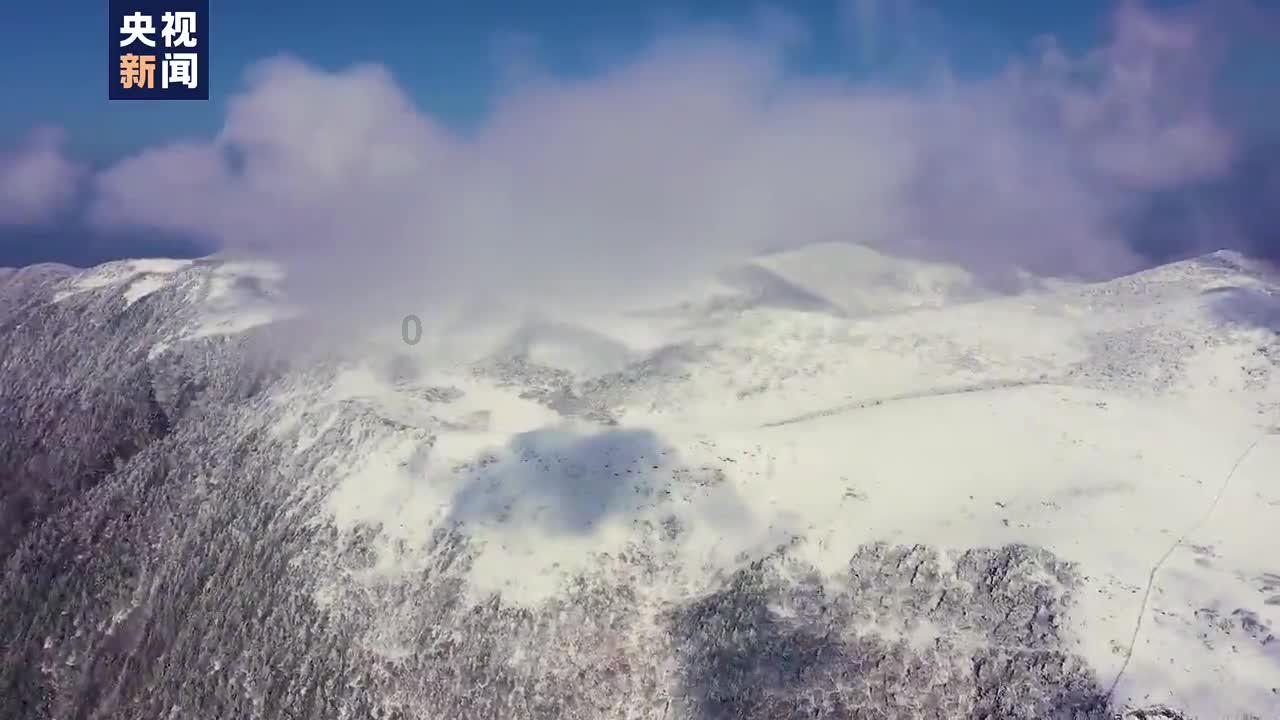 普通家庭根本不适合买小轿车，每年的开销足够打车出行