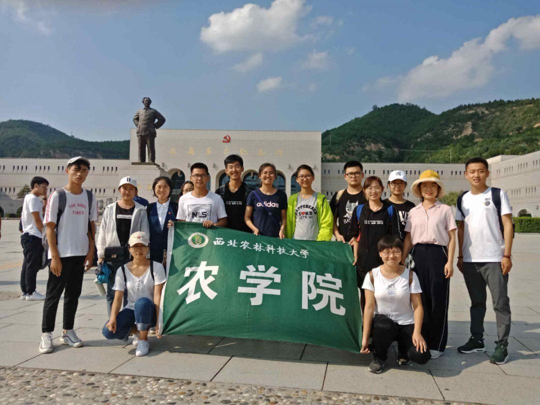 攀登高楼