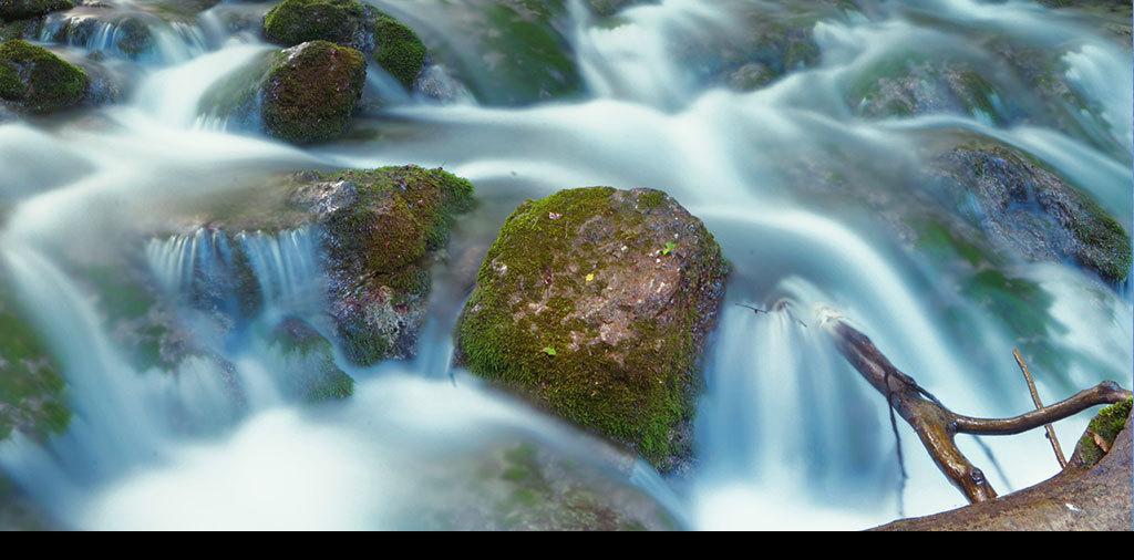 柳州银行:金融“活水”浇木成“财”